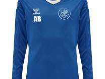 Hummel HMLCORE XK Trikot langarm Kirchheimer SC